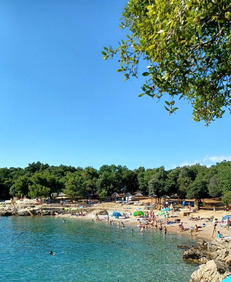 Ivica Apartment Krk Town